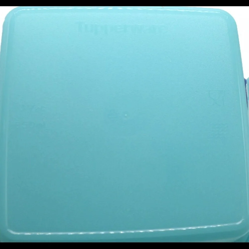 Tupperware easy portable