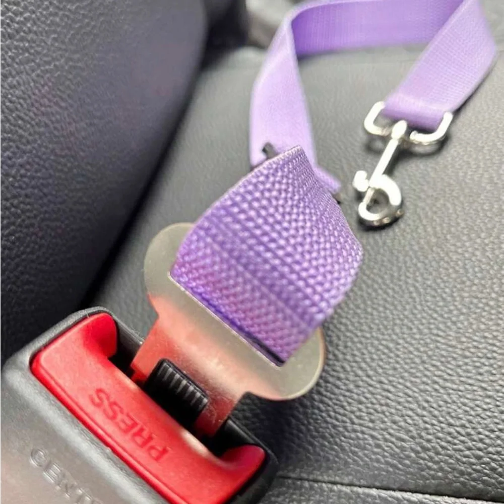 PET SEATBELT