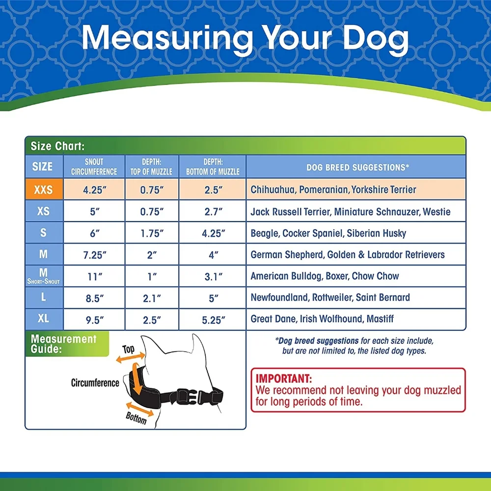 Four Paws welcome details