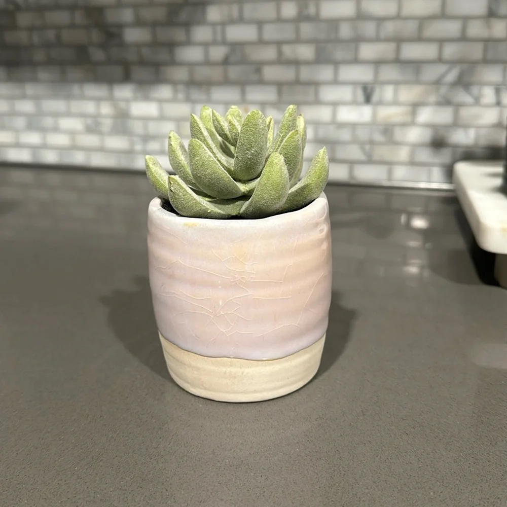 Threshold Tabletop Arrangement