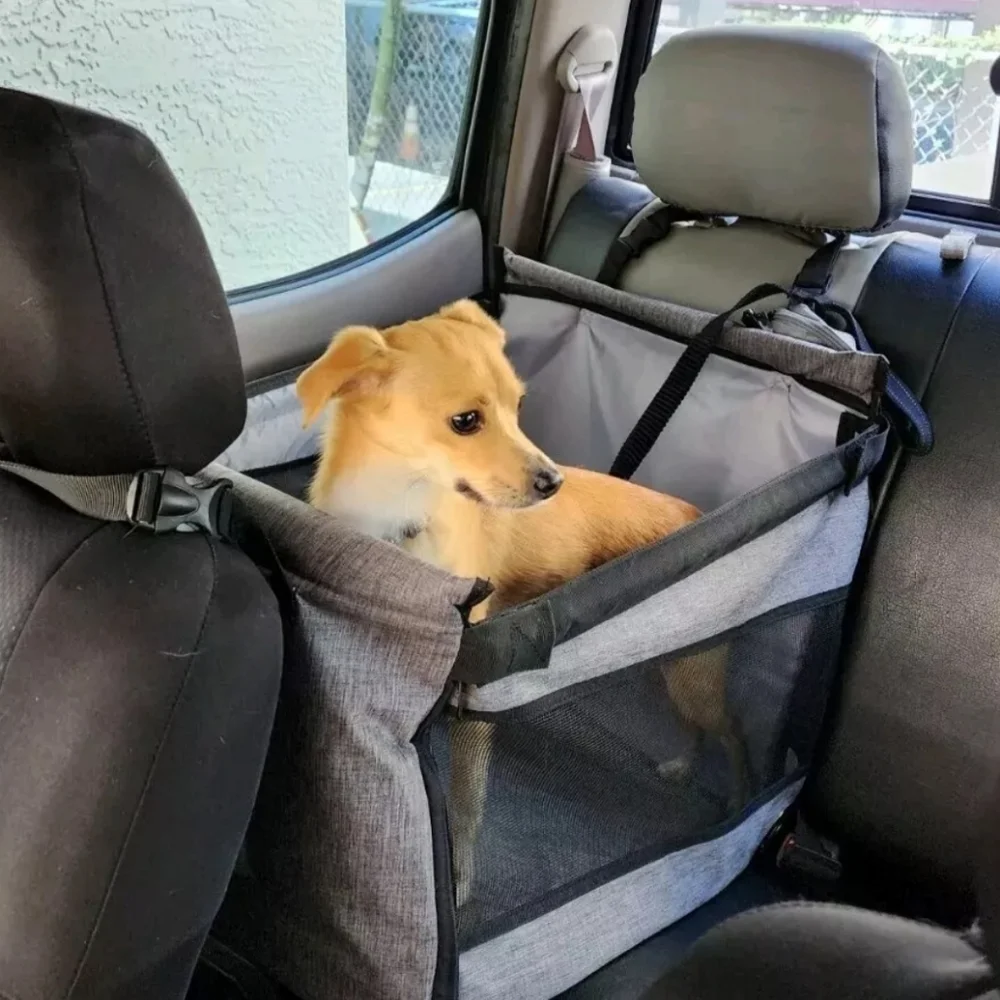 unbranded dog car