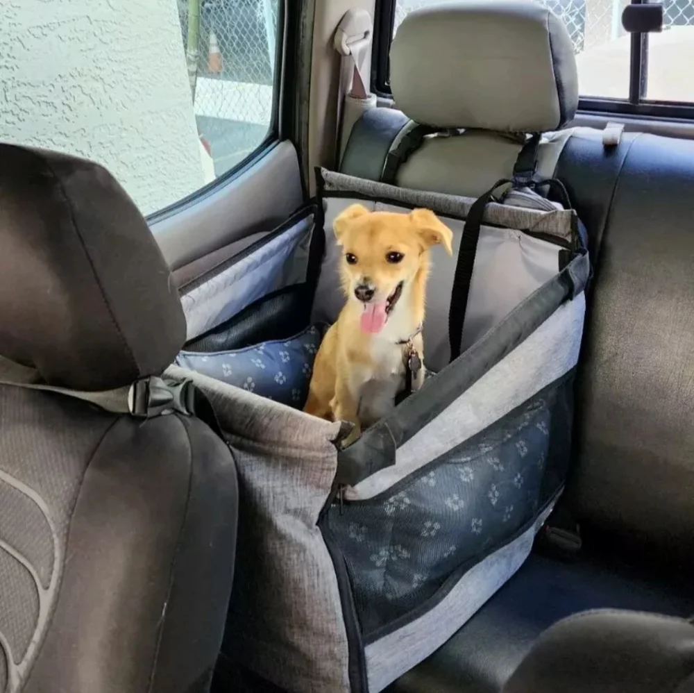 unbranded dog car