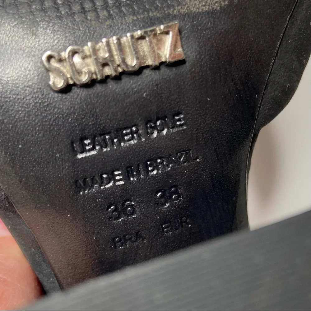 brazil schutz