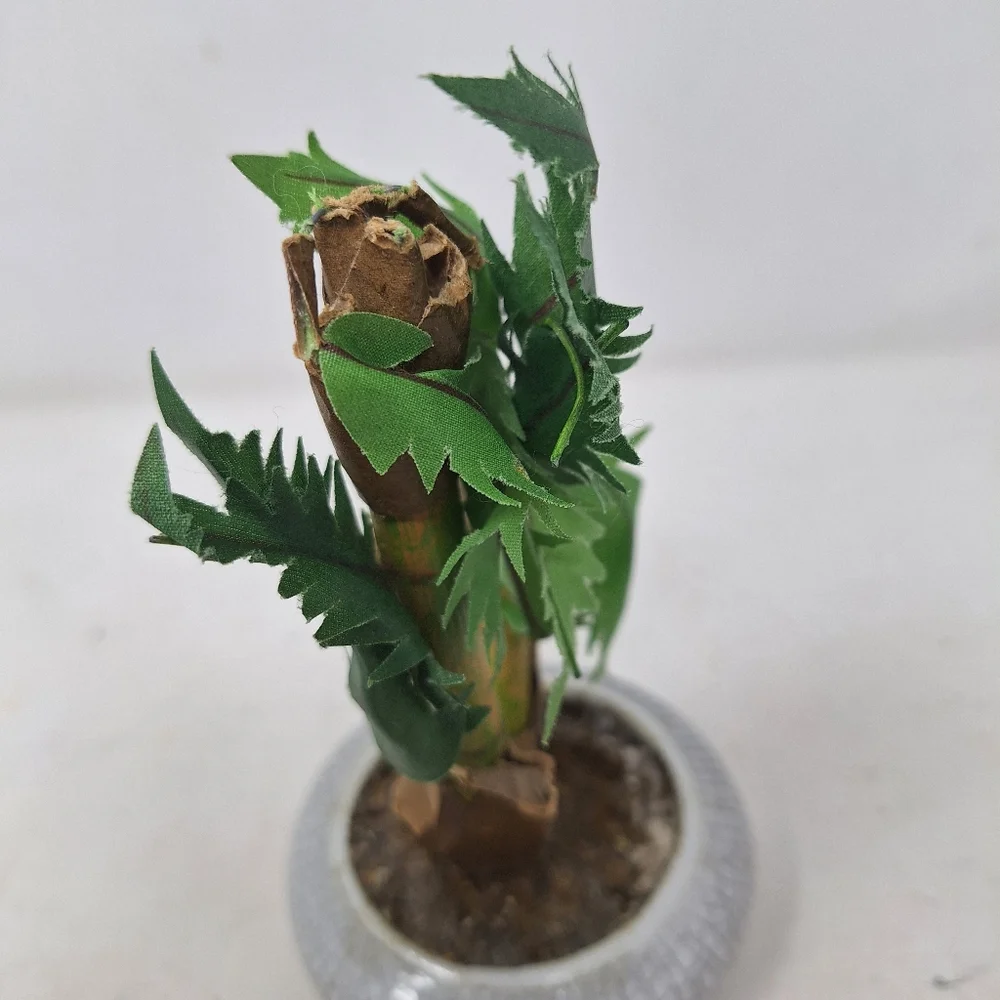 None faux bonsai