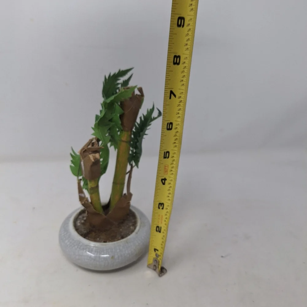 None faux bonsai