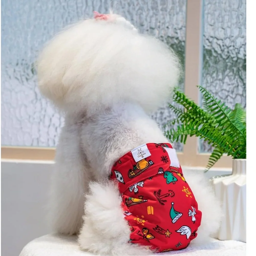 N/A cutebone dog