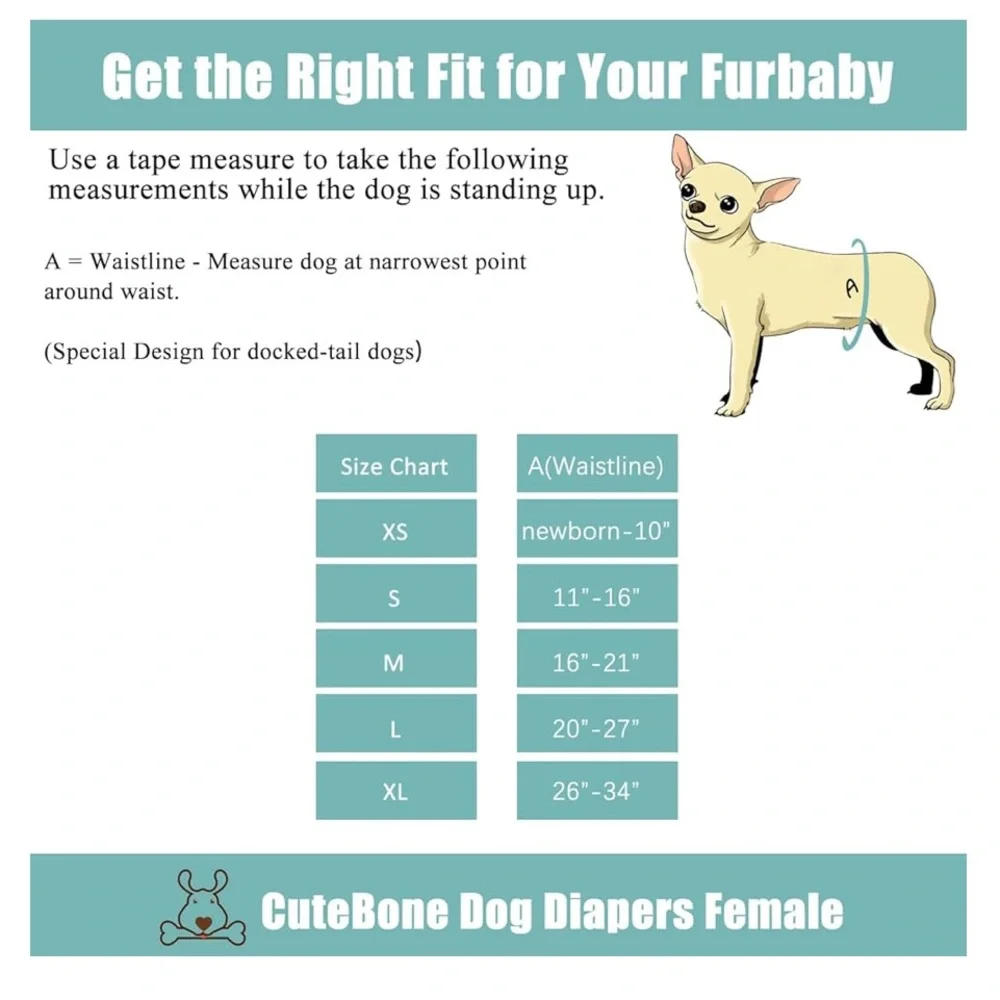 N/A cutebone dog