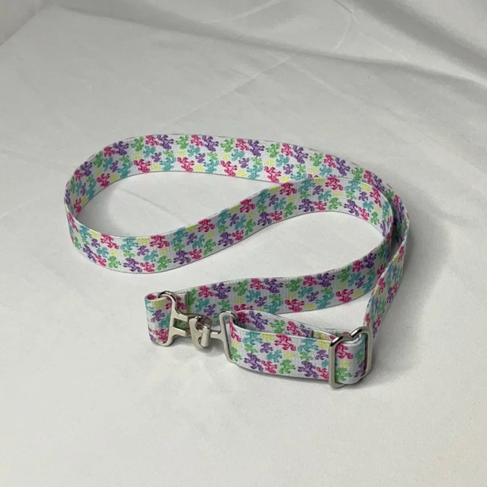 N/A colorful belt