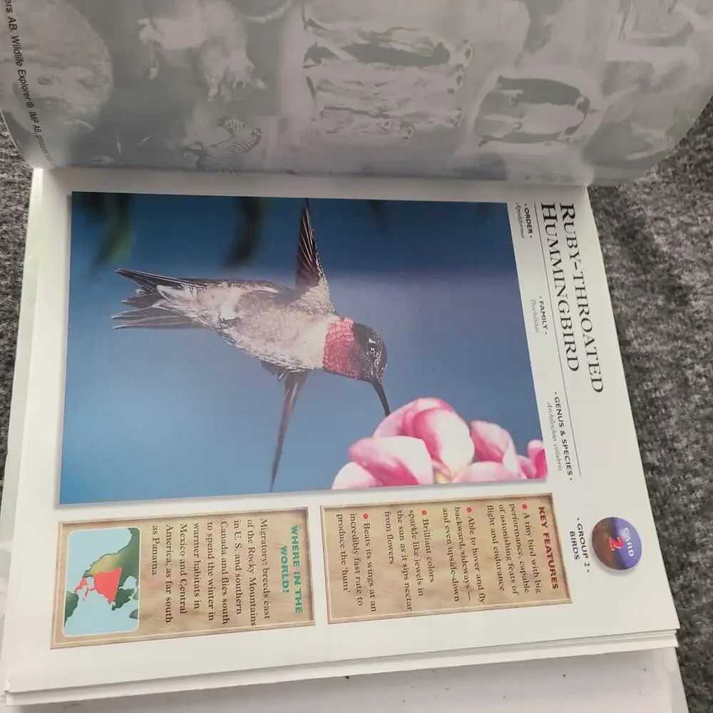Wildlife good used