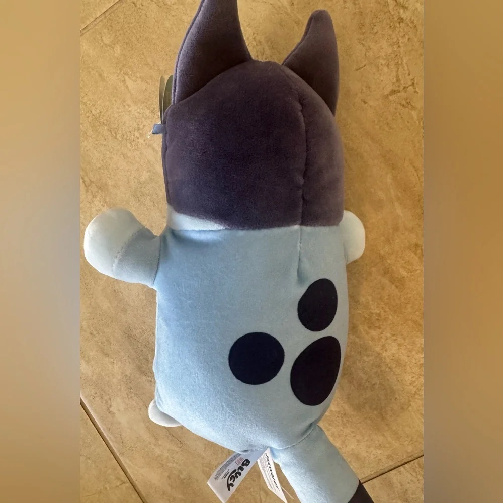 Bluey where activity