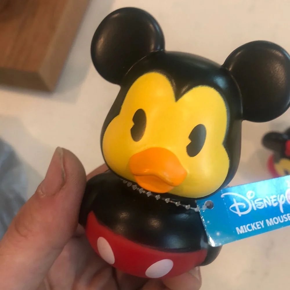 Disney discover charm