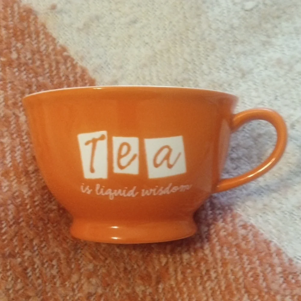 Pier 1 Imports Orange Stoneware Tea Cup