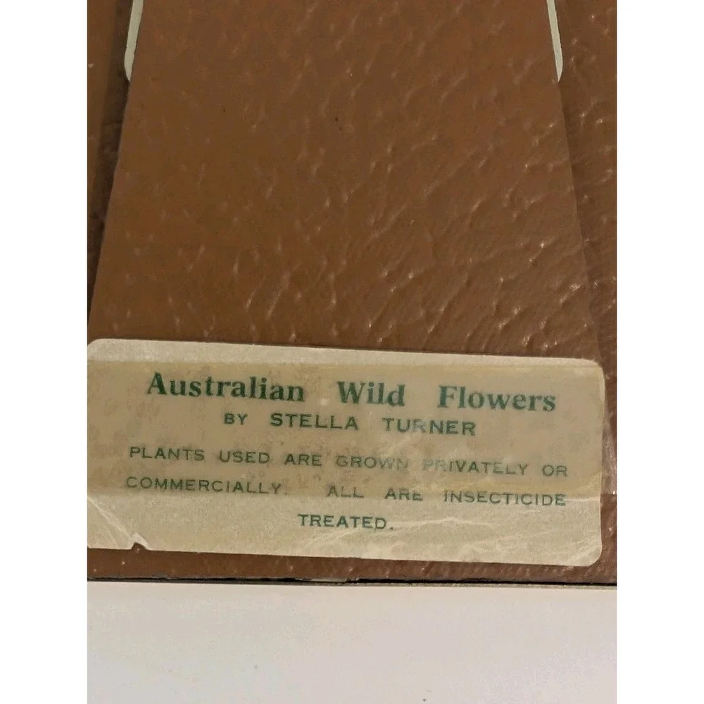 Stella Turner marks questions