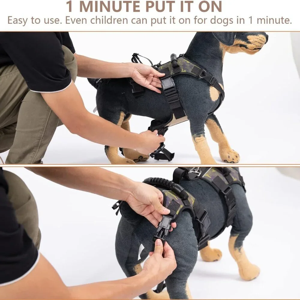 Coodeo body life leg