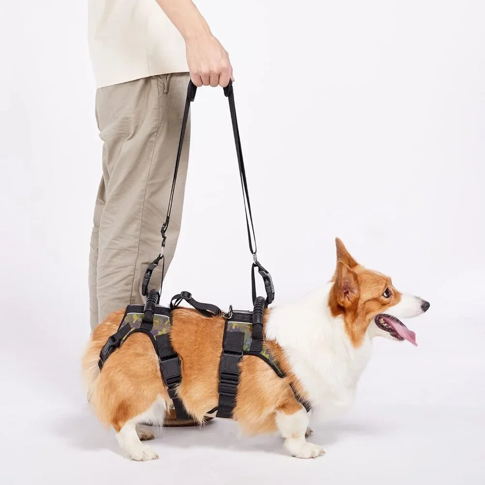 Coodeo Dog Lift Harness, Full Body Support & Recovery Sling