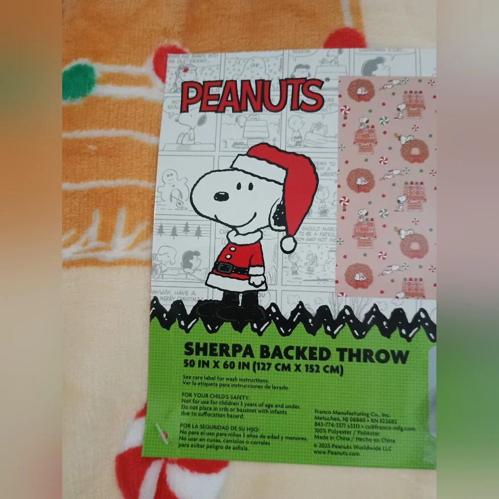 Peanuts snoopy gingerbread