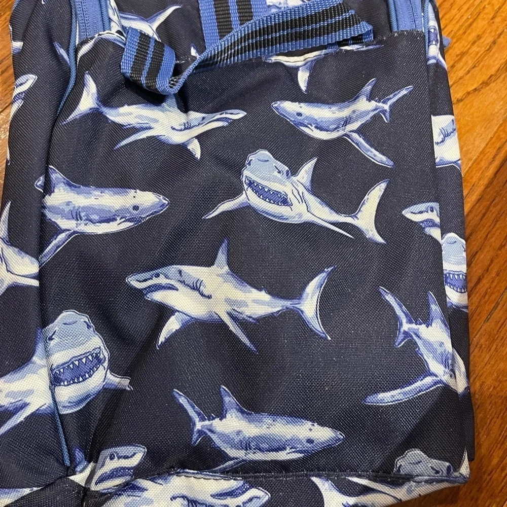 Pottery Barn Kids other blue your