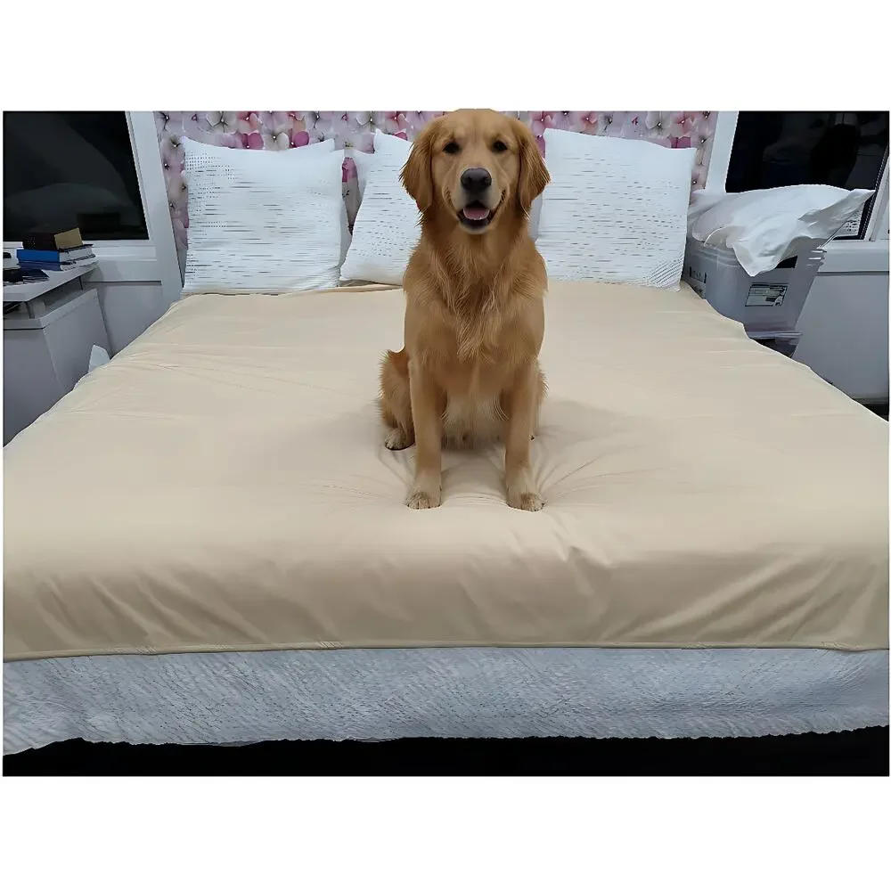 Silly Legacy these bed