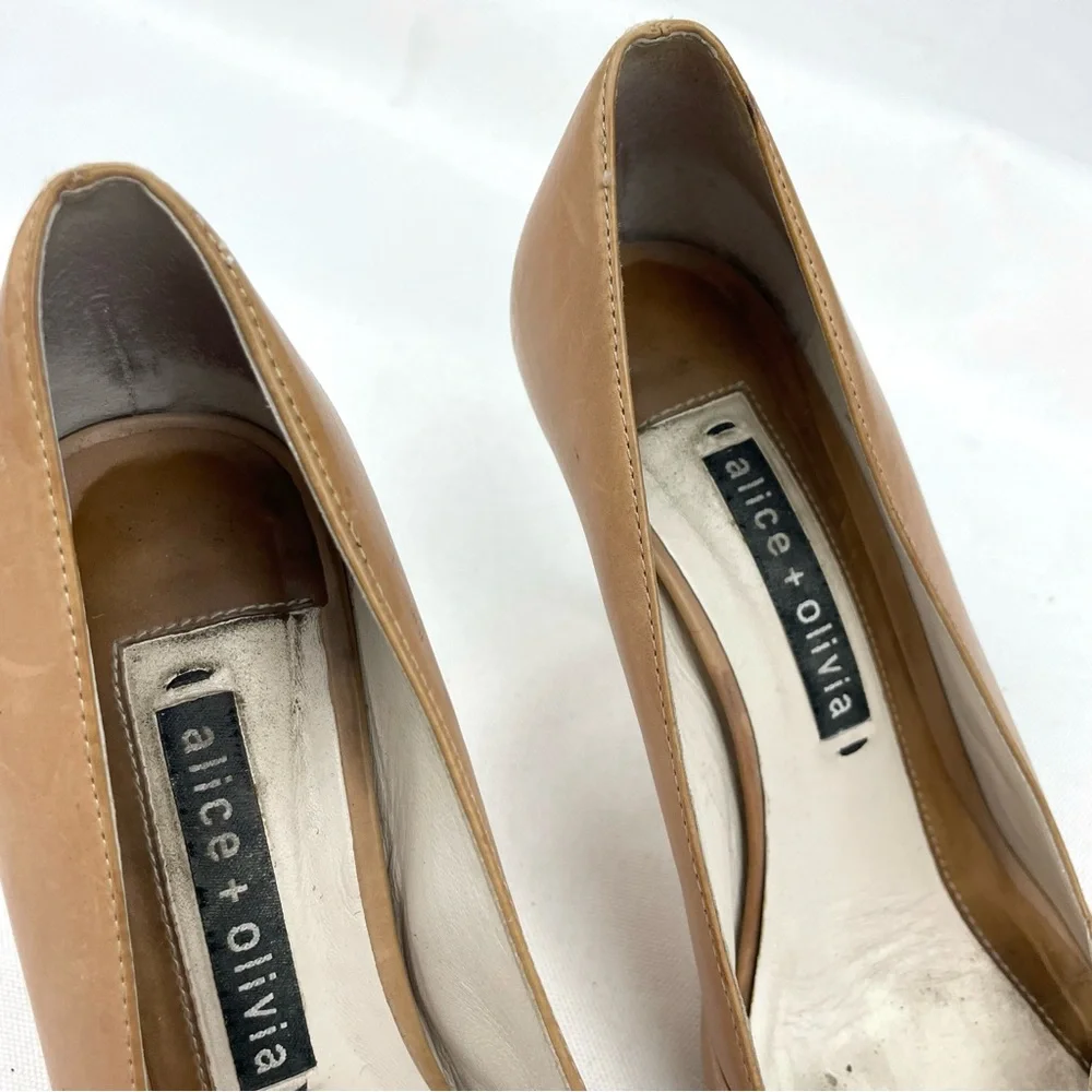 Alice + Olivia elevate your