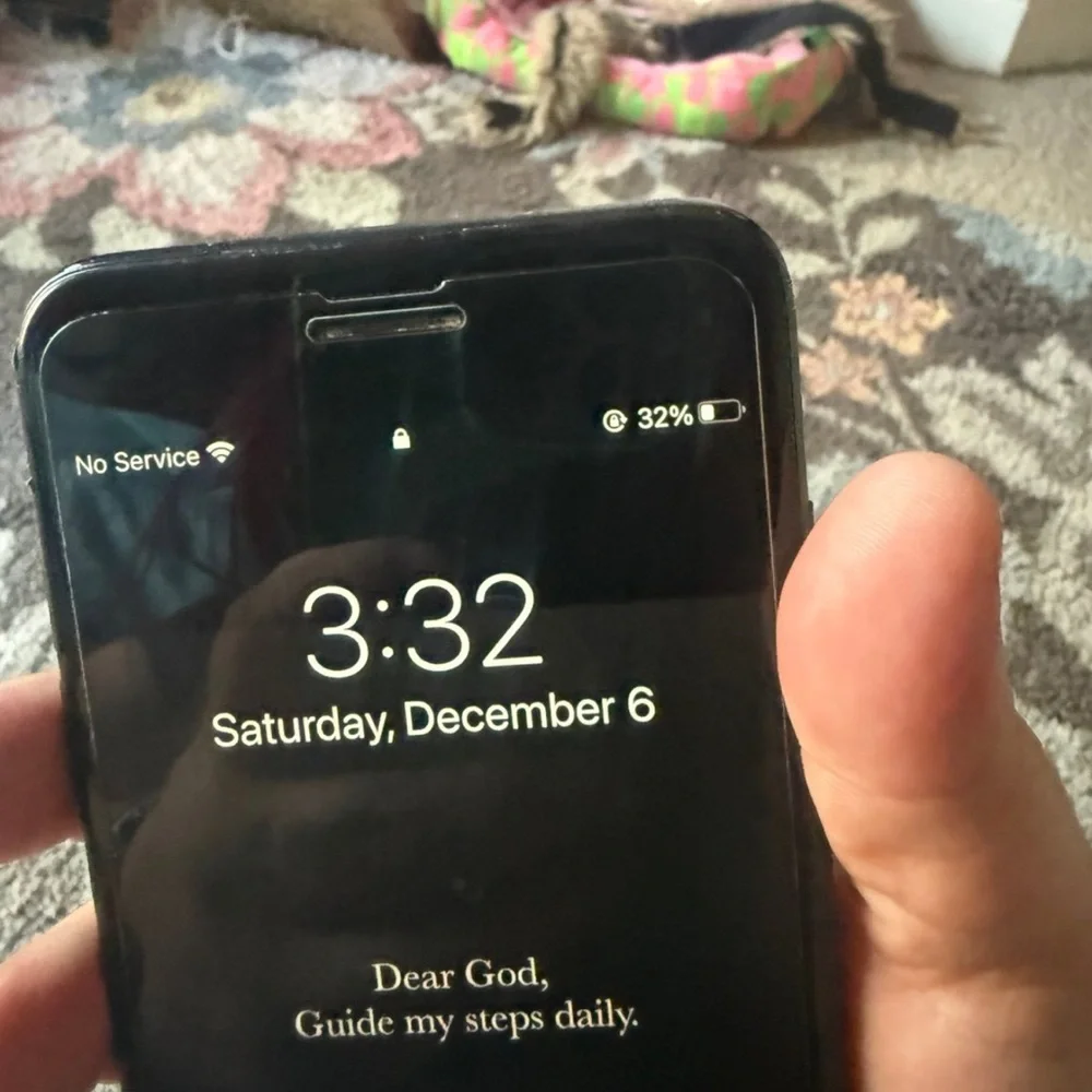 Apple protector would be