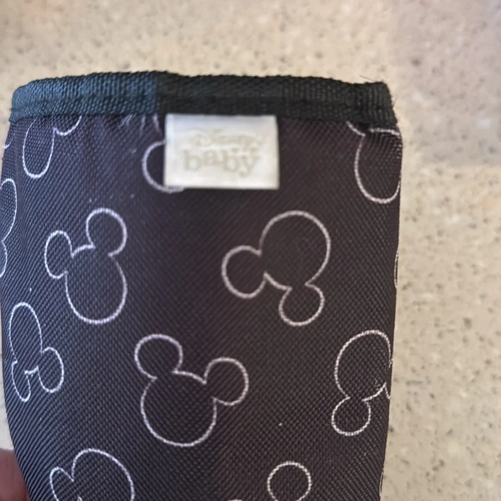 Disney Baby interior leaks 🐶pet
