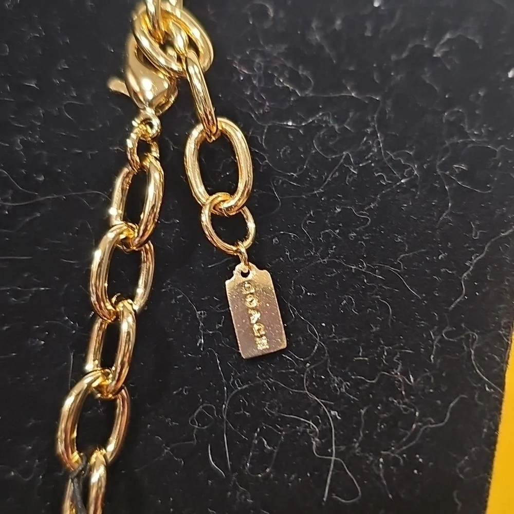 Coach this polished