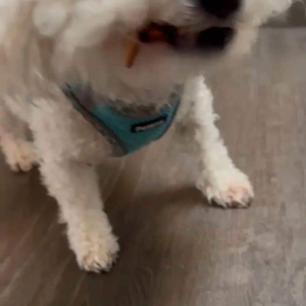 None pampering know treat