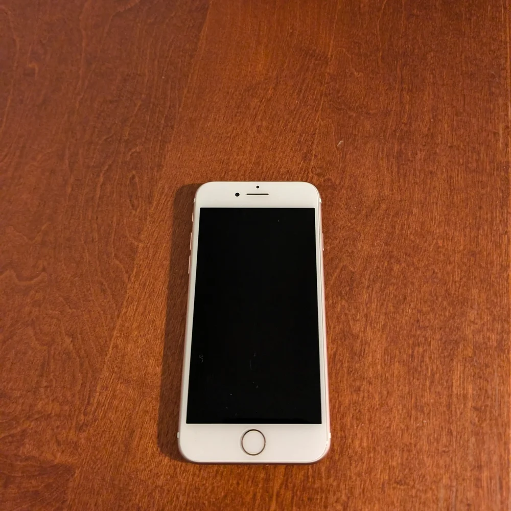 Apple experience elegance