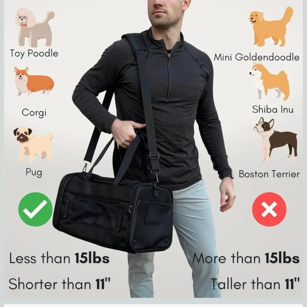 Citrusy travel style
