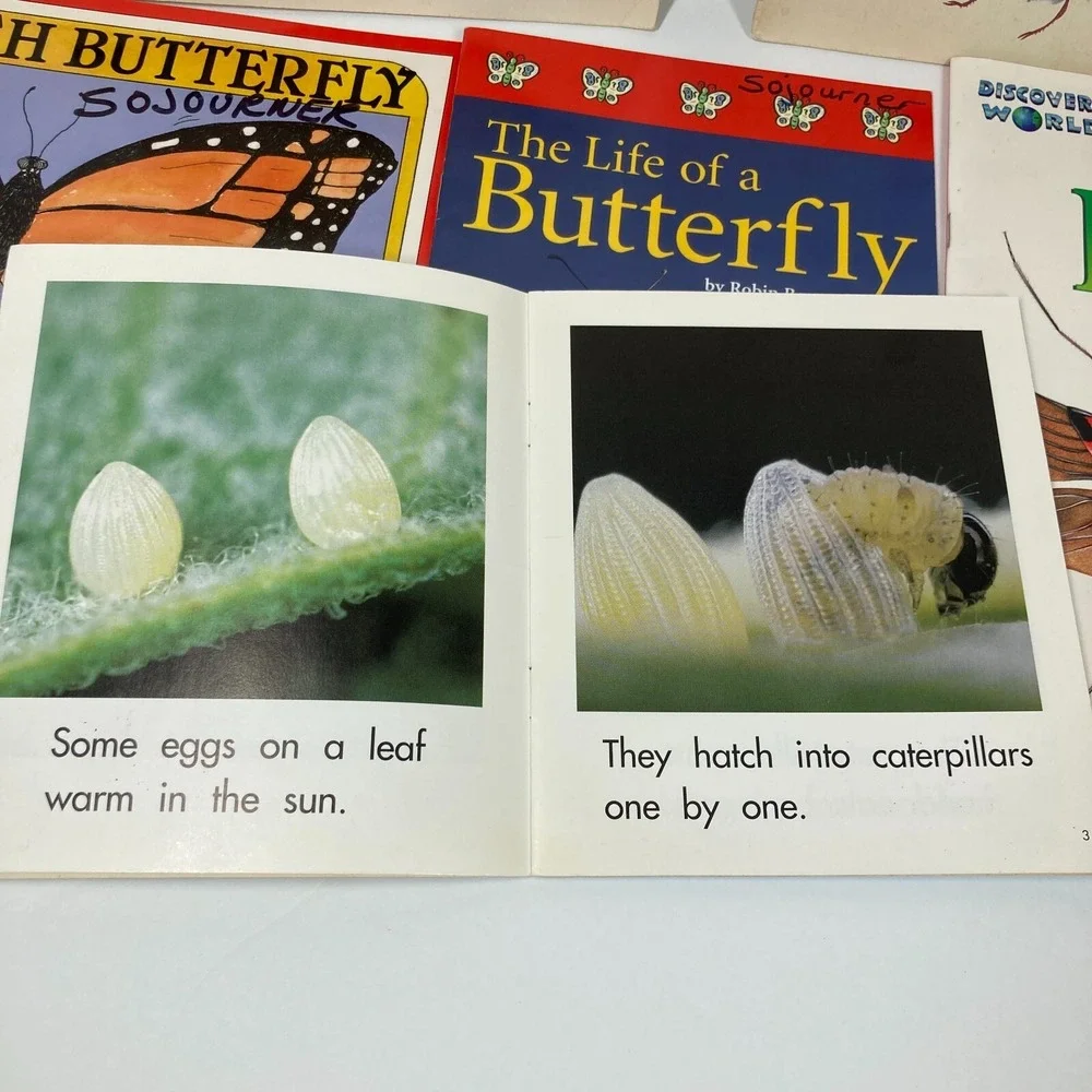N/A lot insect