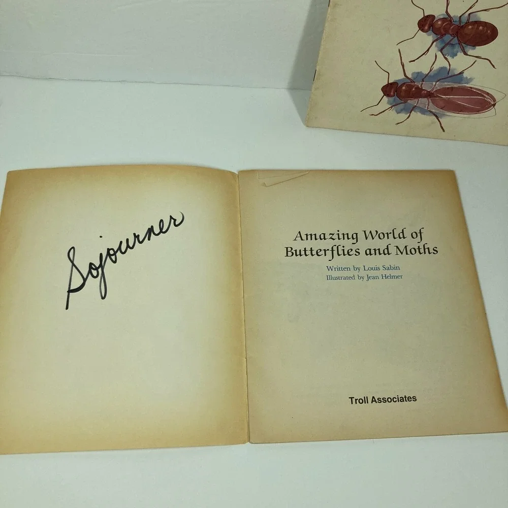 N/A lot insect
