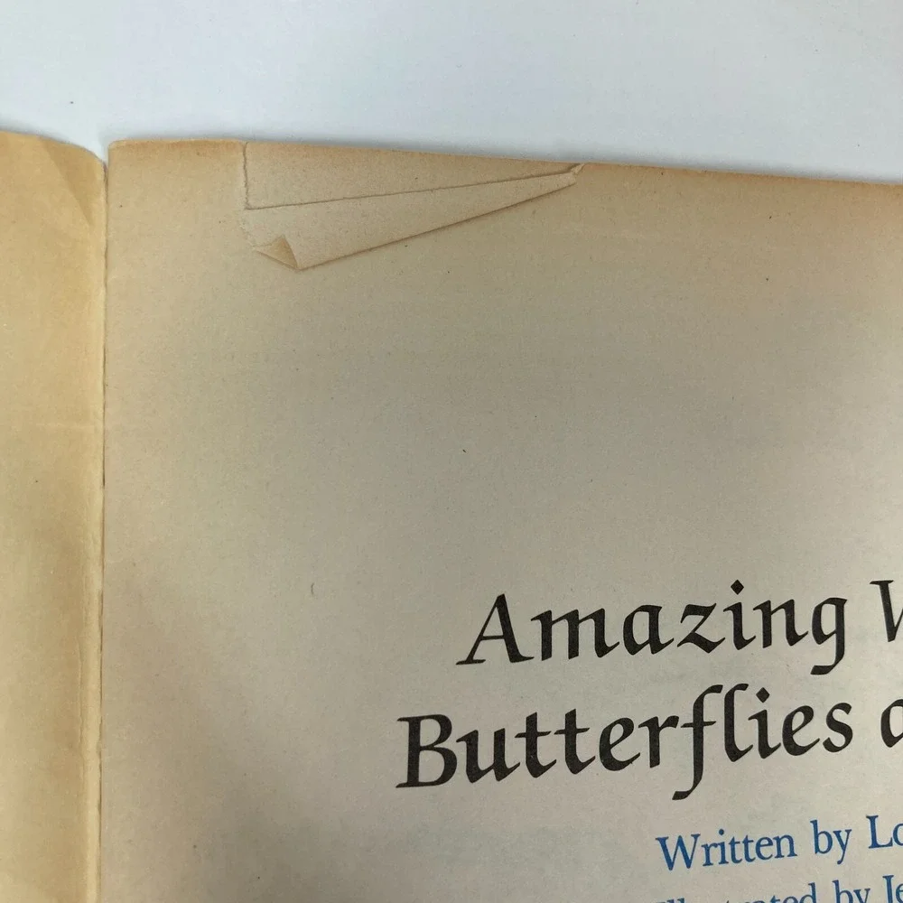 N/A lot insect