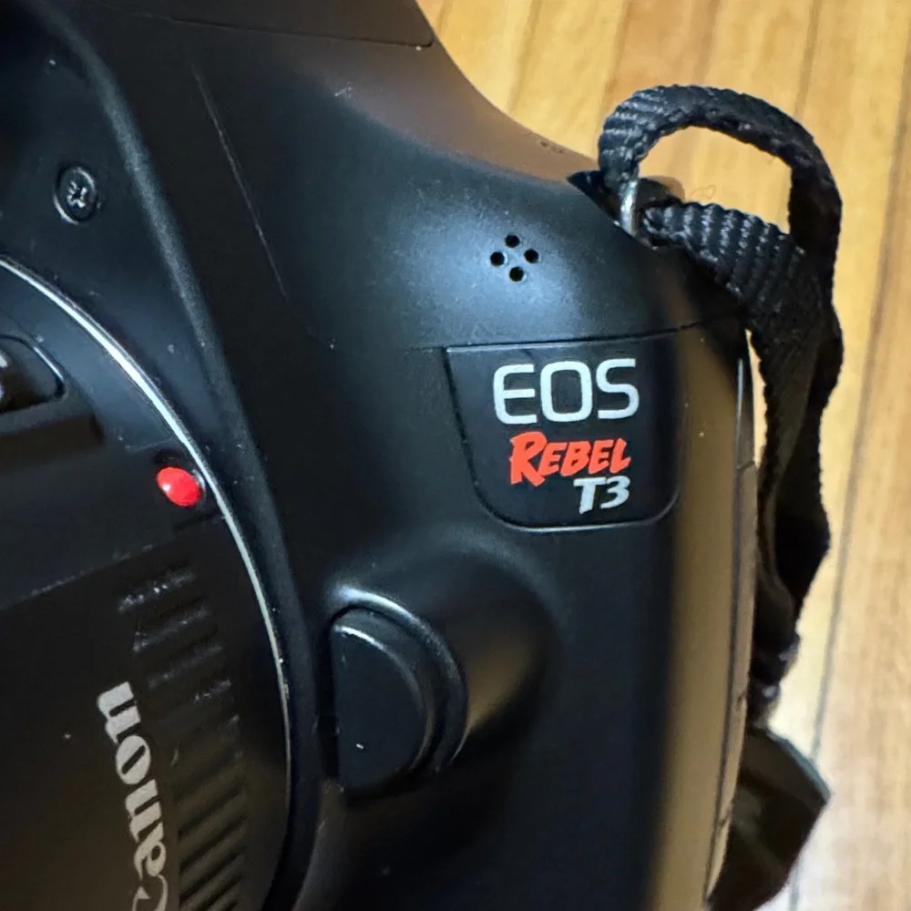 Canon experience high