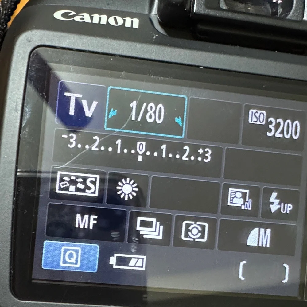 Canon experience high