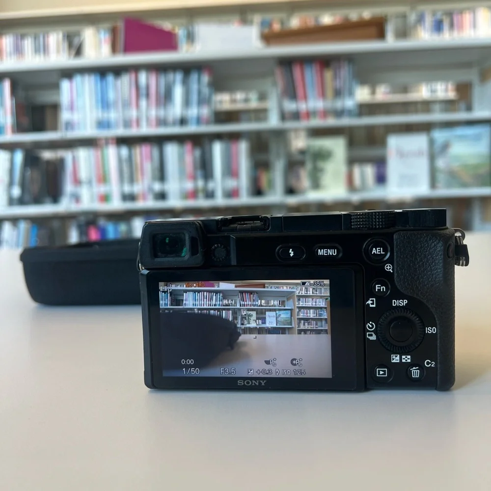 Sony black ideal camera