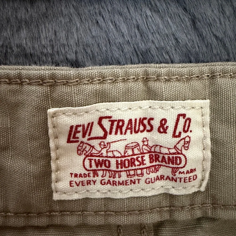 Levis summer standard