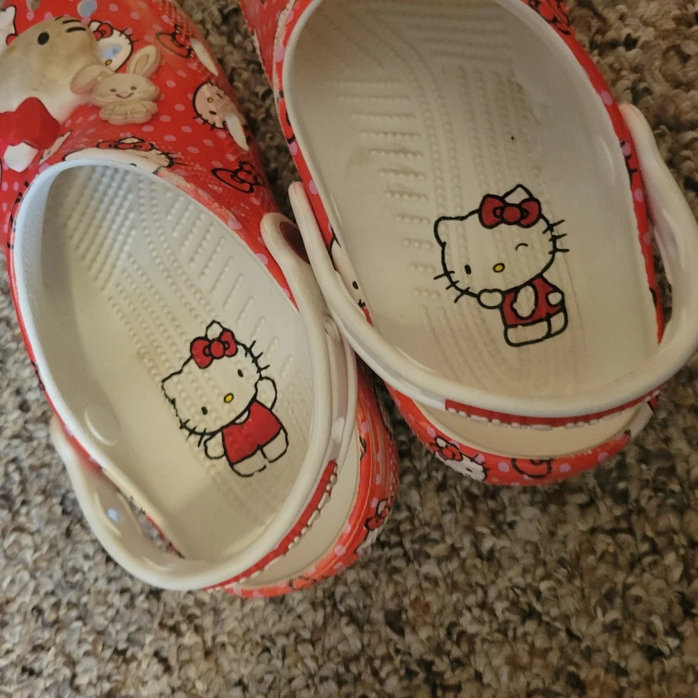 CROCS described look honest