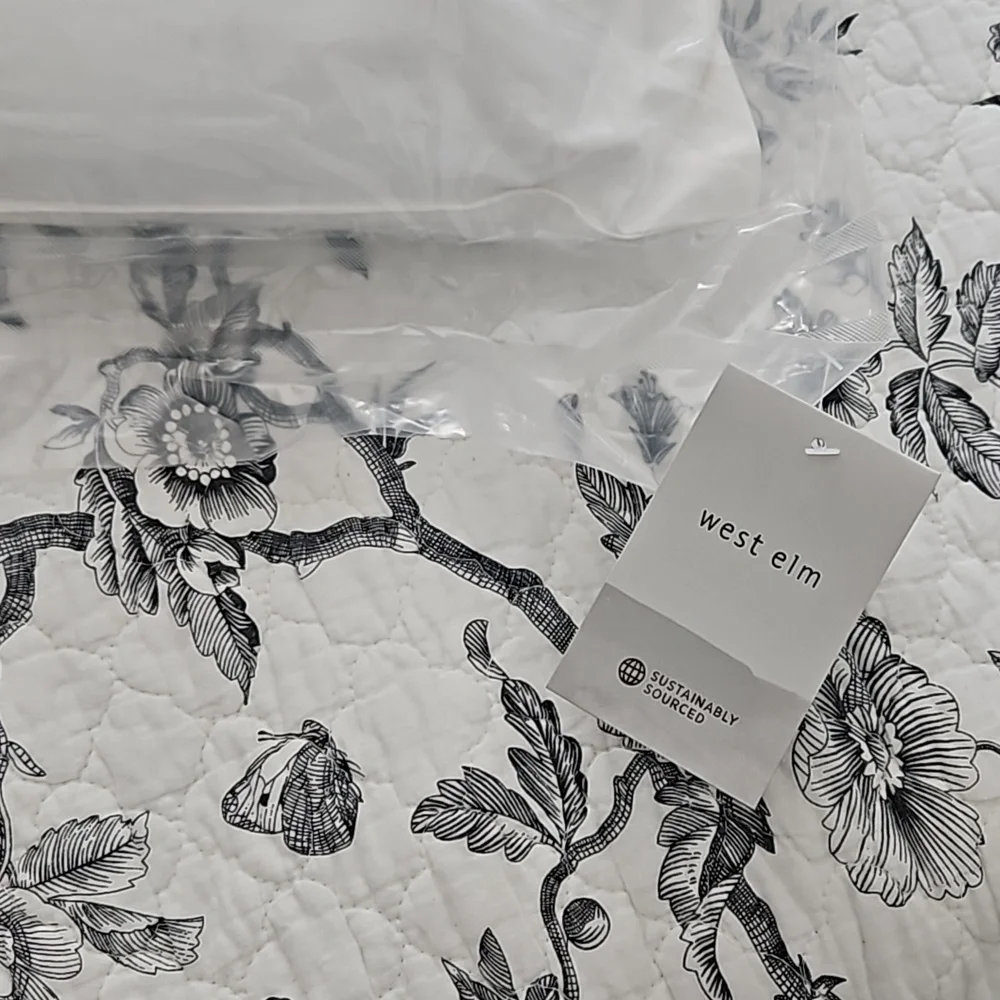 West Elm pillow cover