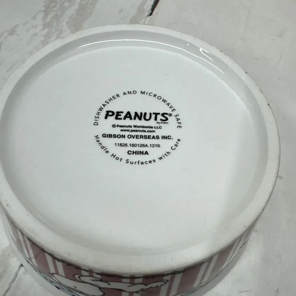 Gibson peanuts snoopy