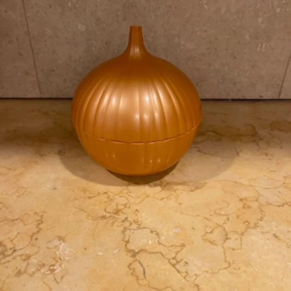 N/A onions saver