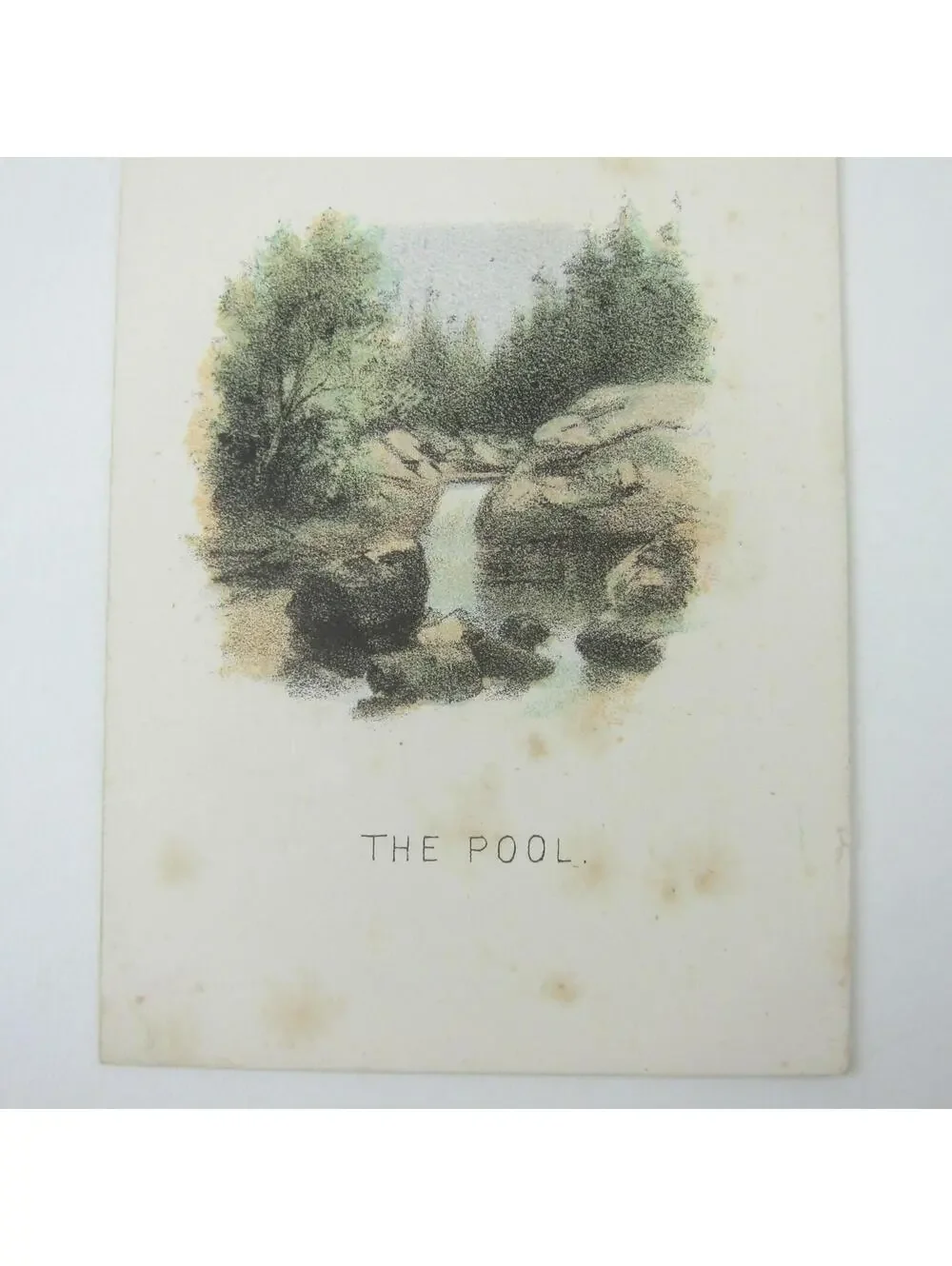 N/A must comes pool