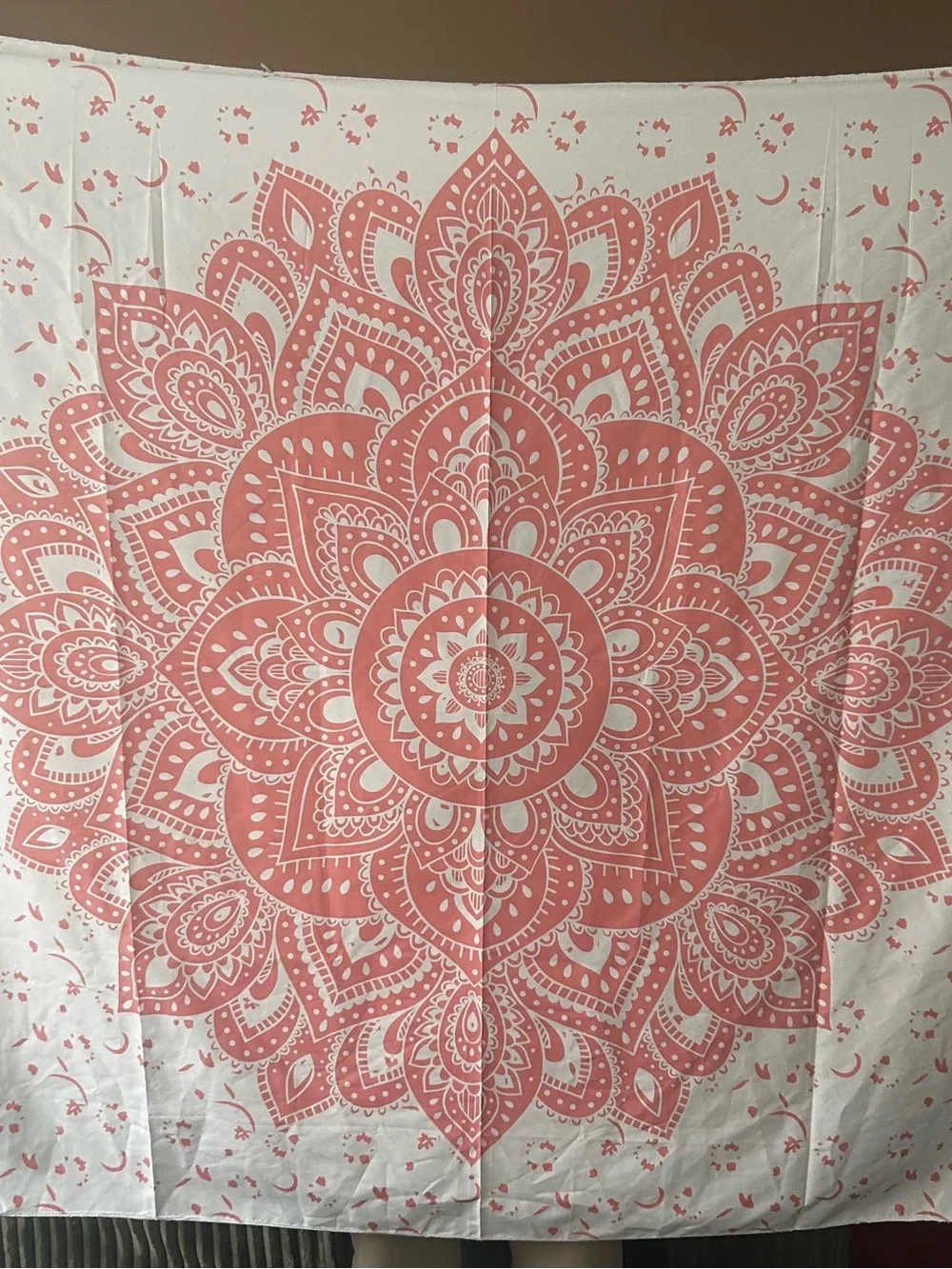SHEIN coral backdrop
