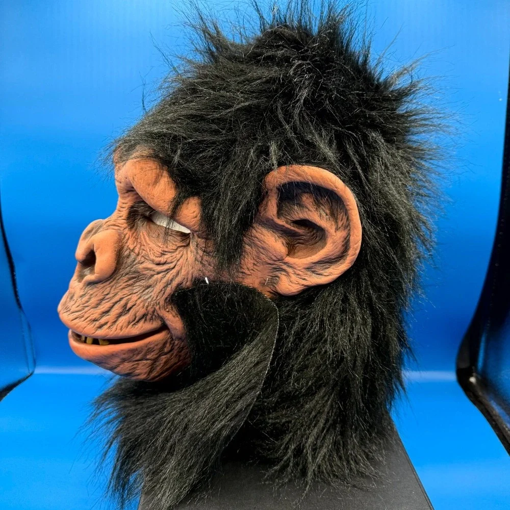 N/A zagone studios