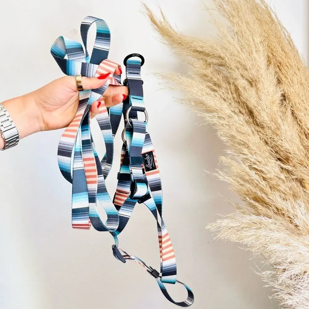 NEW LEEDS Jetty Blue White Orange Stripe Step Harness and 6’ Dog Leash $108 Set