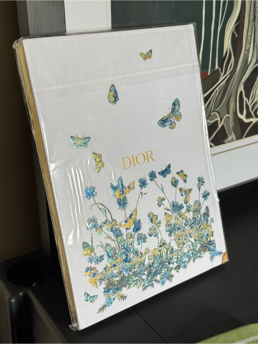Dior used new never