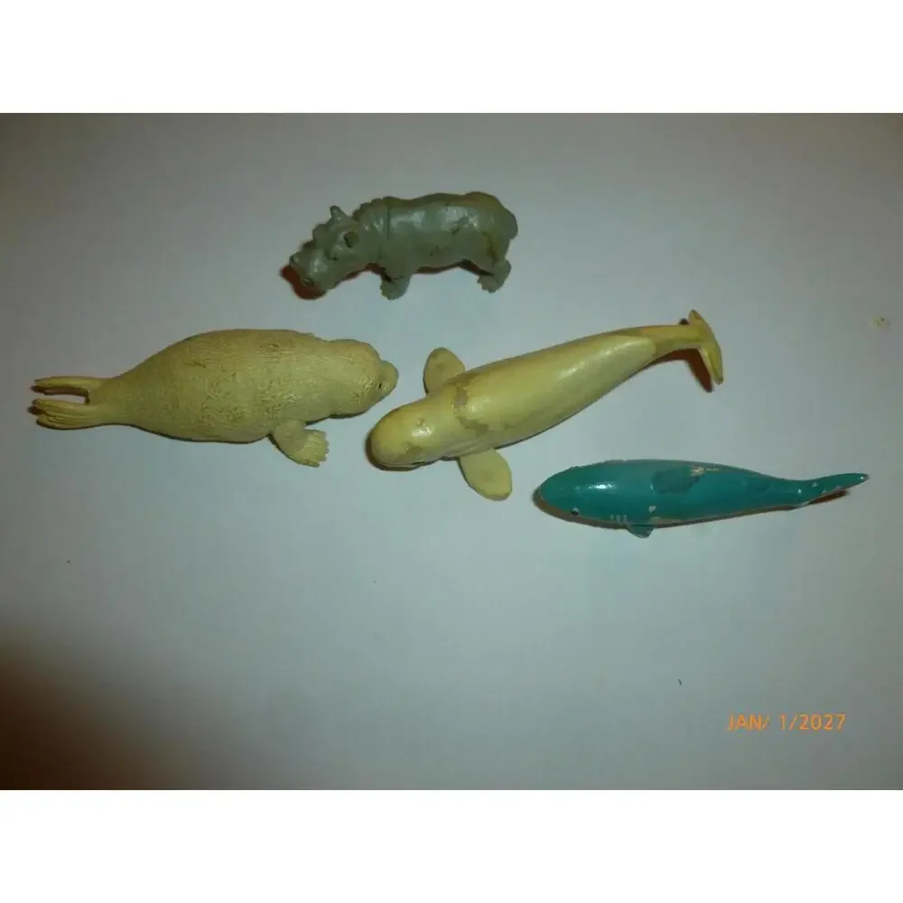 N/A animals seal