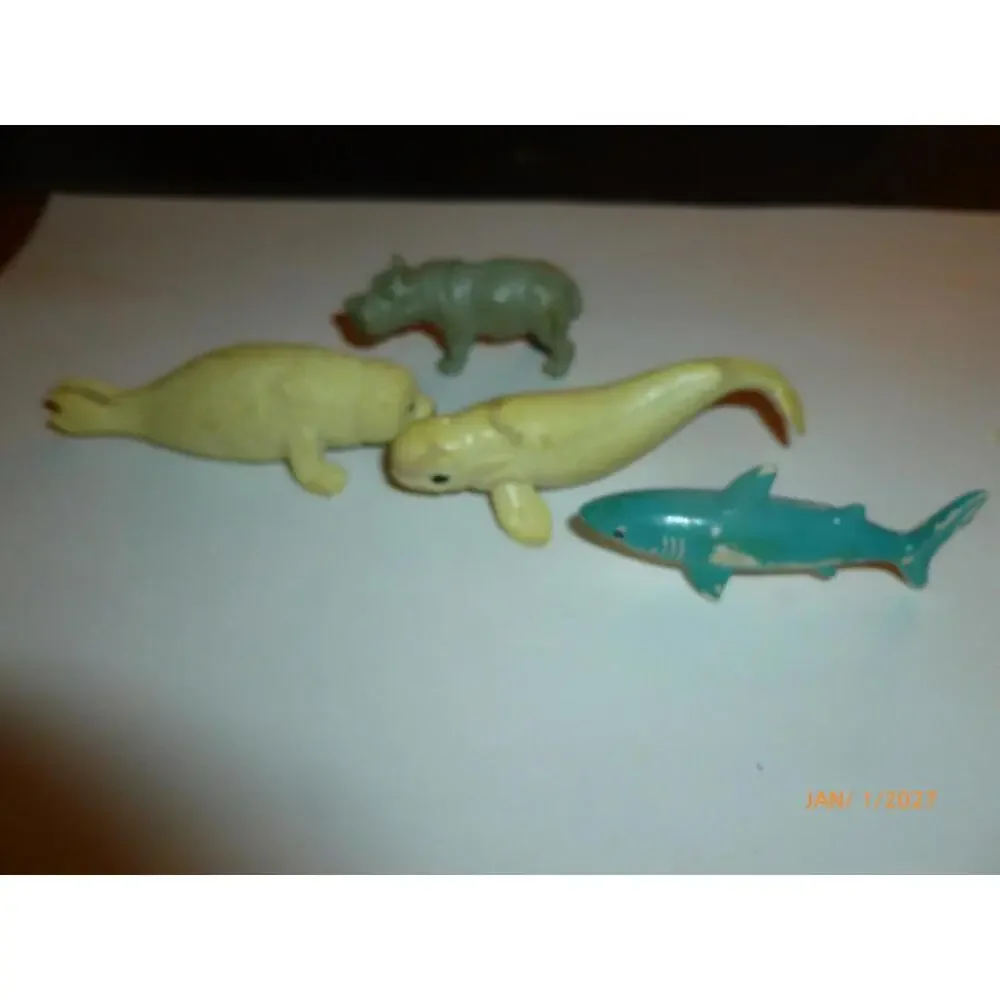 N/A lot  seal animals