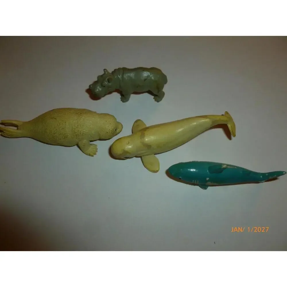 N/A whale ltd wild