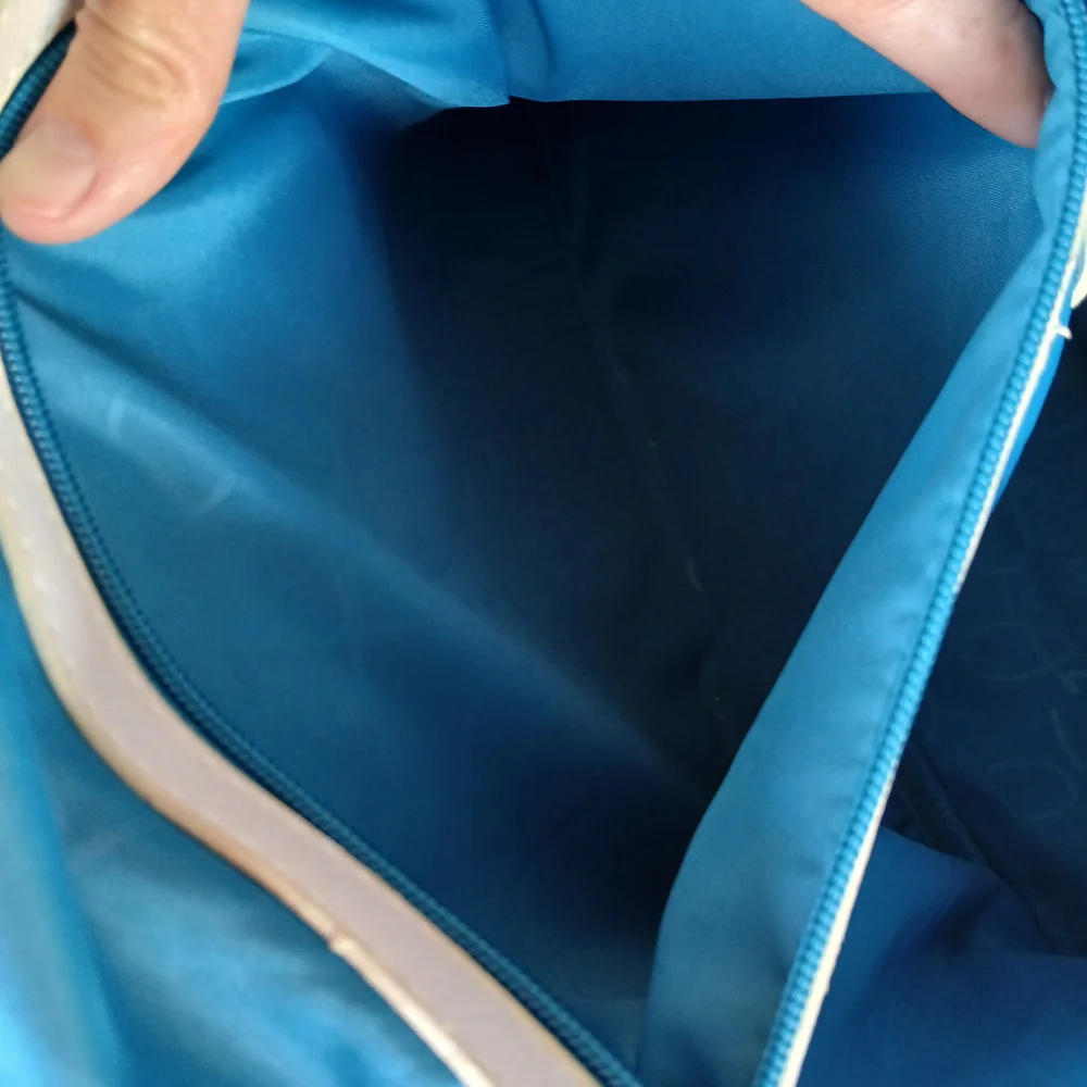turquoise laptop pet