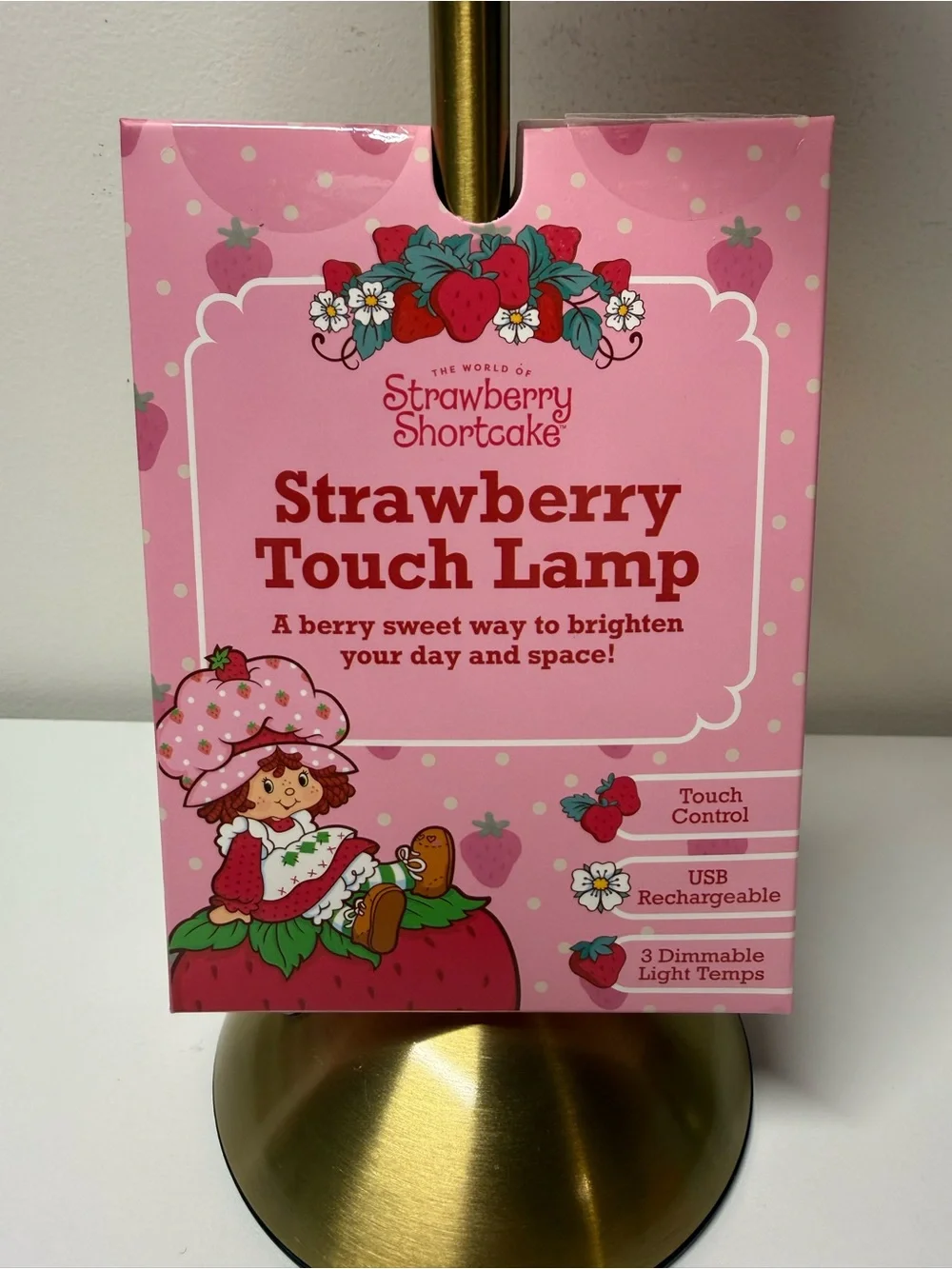 WildBrain red lamp